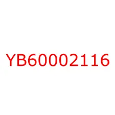 YB60002116