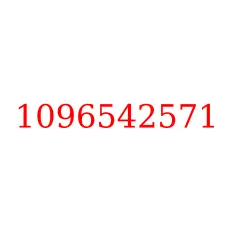 1096542571