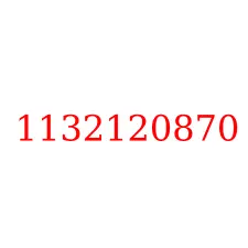 1132120870