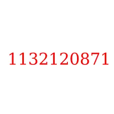 1132120871