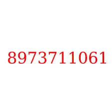 8973711061