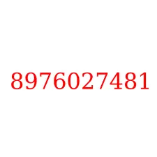 8976027481