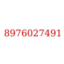 8976027491