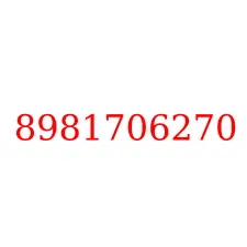 8981706270