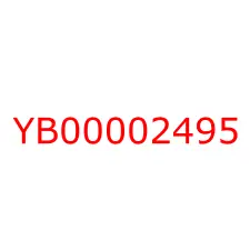 YB00002495