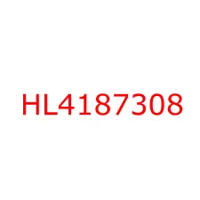 HL4187308