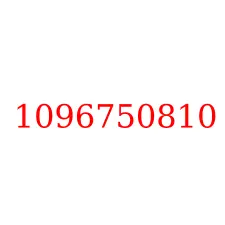 1096750810