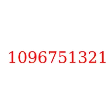 1096751321