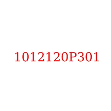 1012120P301