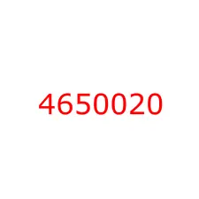 4650020