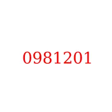 0981201