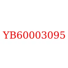 YB60003095
