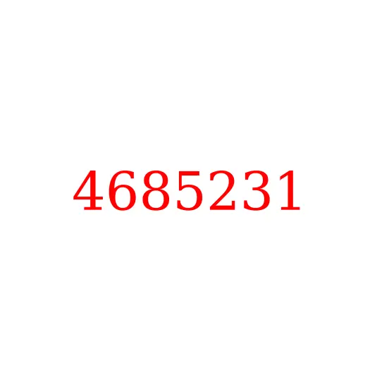 4685231 Подшипник игольчатый планетарной шестерни 1-й ступени HITACHI ZX330-5G/ZX350H-5G, 4685231