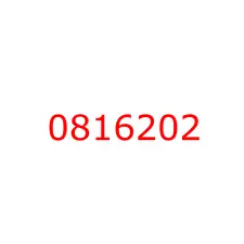 0816202