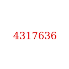 4317636
