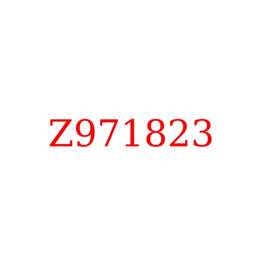Z971823 Кольцо уплотнительное гидросистемы HITACHI, Z971823