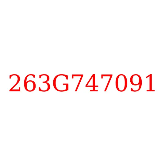 263G747091 Кольцо уплотнительное гидросистемы HITACHI, 263G747091