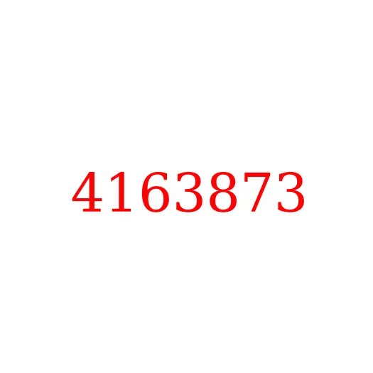 4163873 Кольцо уплотнительное гидросистемы HITACHI, 4163873