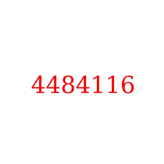 4484116 Кольцо уплотнительное гидросистемы HITACHI, 4484116