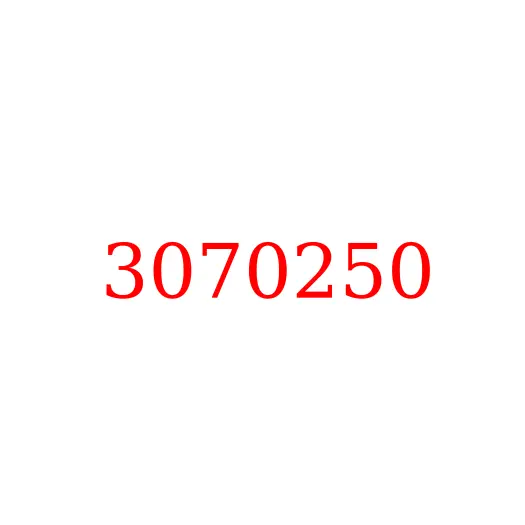 3070250 Кольцо упорное центрального поворотного коллектора HITACHI, 3070250