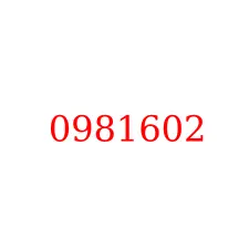 0981602