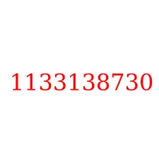 1133138730