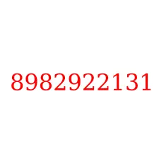 8982922131