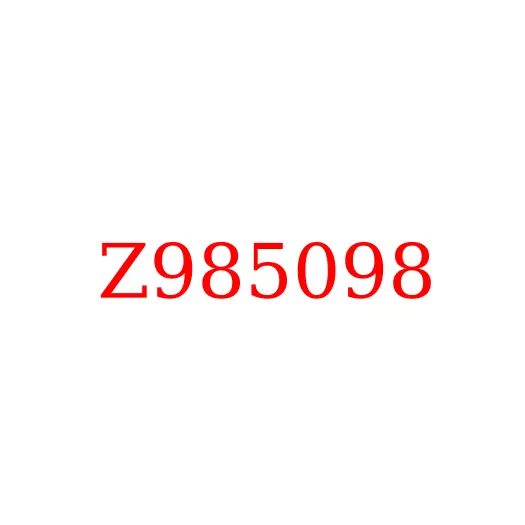 Z985098 Кольцо уплотнительное гидросистемы HITACHI, Z985098