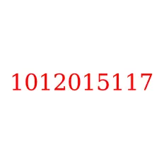 1012015117