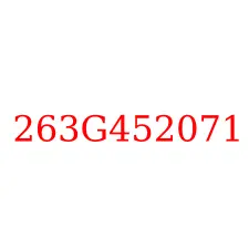263G452071