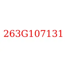 263G107131