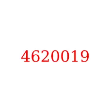 4620019