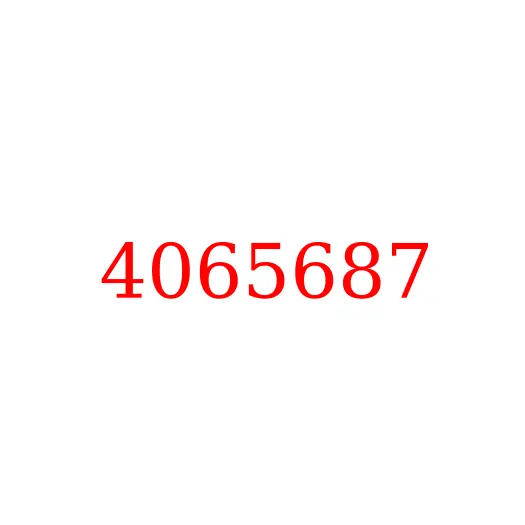 4065687 Сальник (уплотнение пылезащитное) HITACHI, 4065687