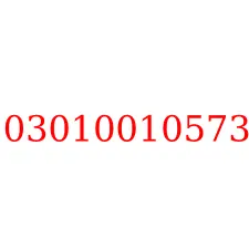 03010010573