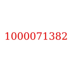 1000071382