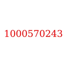 1000570243