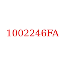 1002246FA