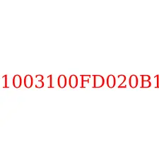 1003100FD020B1