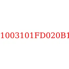 1003101FD020B1