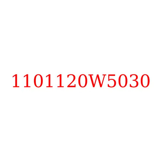 1101120W5030 Насос топливный с датчиком (в баке) JAC N25/N35, 1101120W5030
