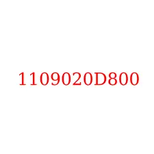 1109020D800