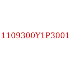 1109300Y1P3001