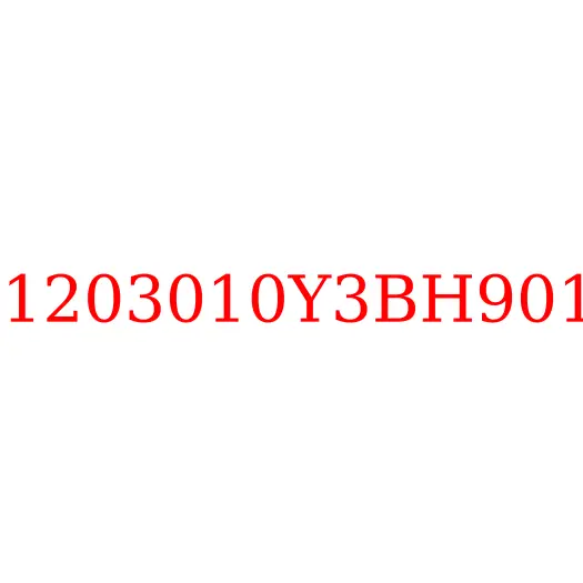 1203010Y3BH901 Труба глушителя приемная JAC N350, 1203010Y3BH901