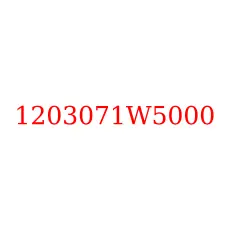 1203071W5000