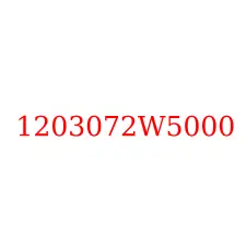 1203072W5000