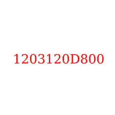 1203120D800