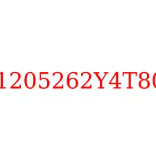 1205262Y4T80