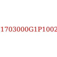 1703000G1P1002