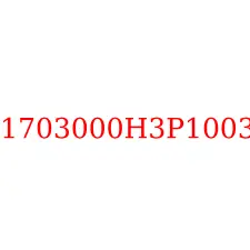 1703000H3P1003