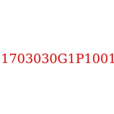 1703030G1P1001